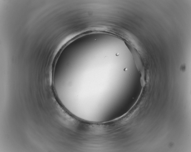 X0000091991036200709131449