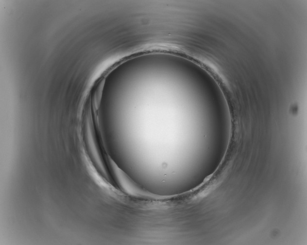 X0000091991038200709131449