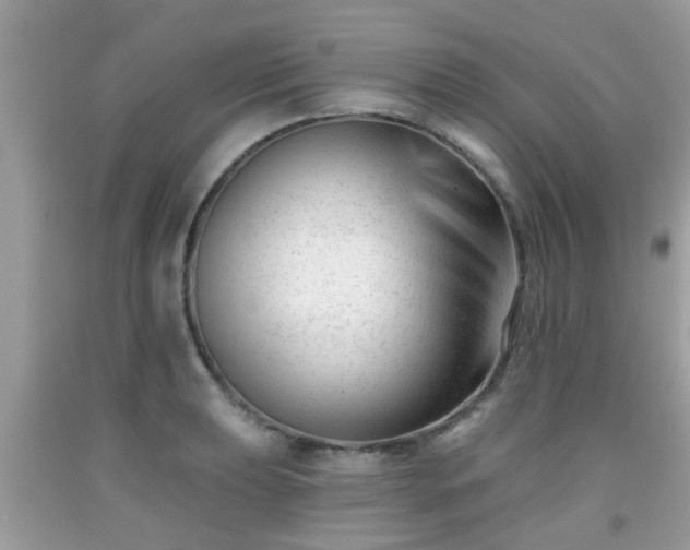 X0000091991039200709131450