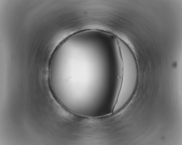 X0000091991040200709131450