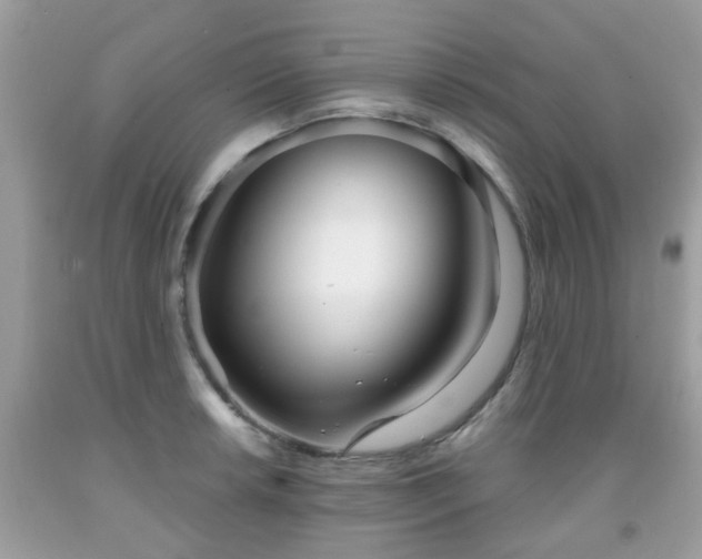 X0000091991042200709131450