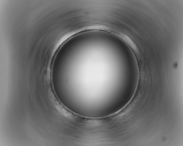 X0000091991044200709131450