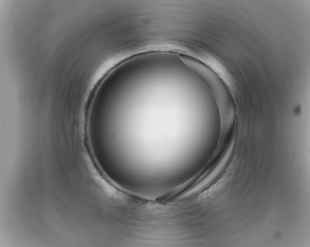 X0000091991046200709131450