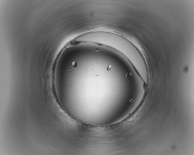 X0000091991048200709131450