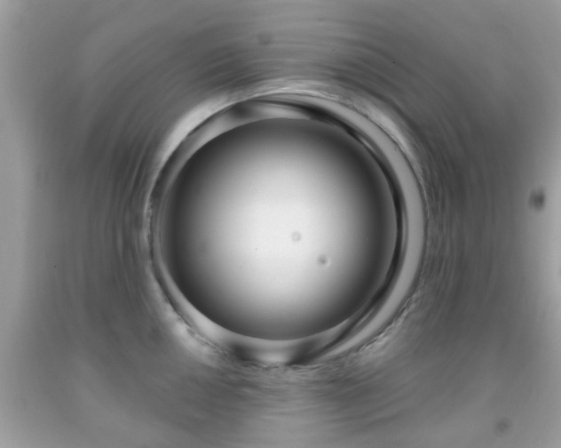 X0000091991050200709131450