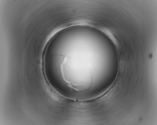 X0000091991051200709131450