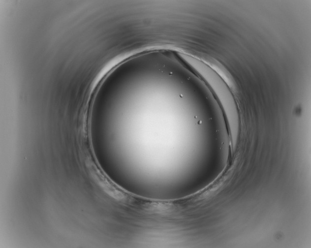 X0000091991052200709131450