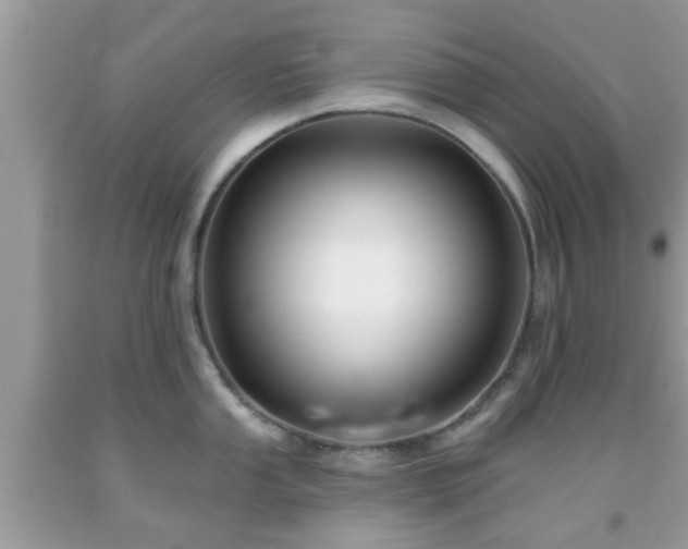 X0000091991053200709131450