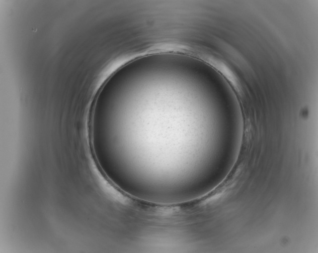 X0000091991055200709131450