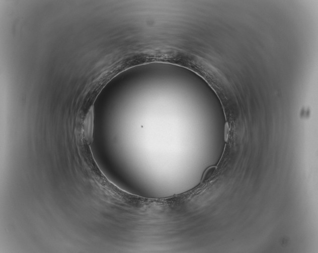 X0000091991058200709131449