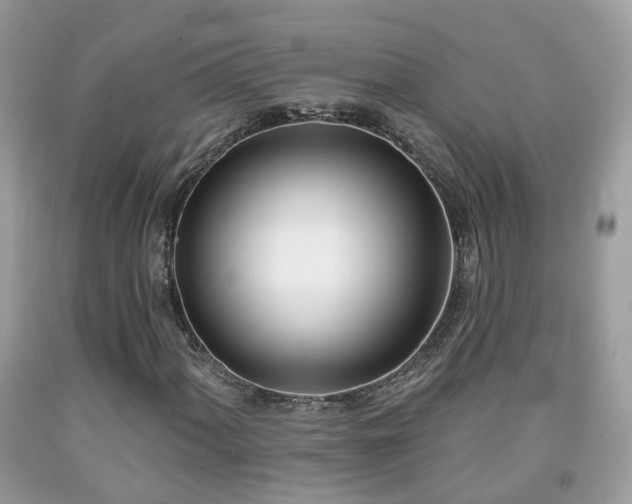 X0000091991060200709131449
