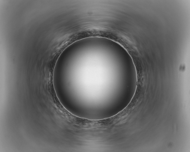 X0000091991061200709131449