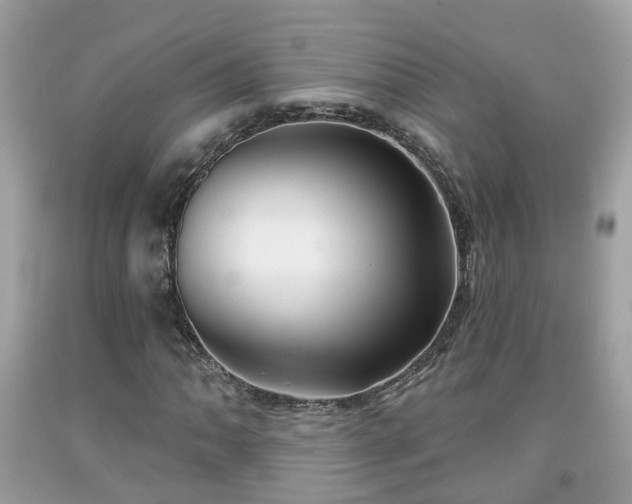 X0000091991062200709131449