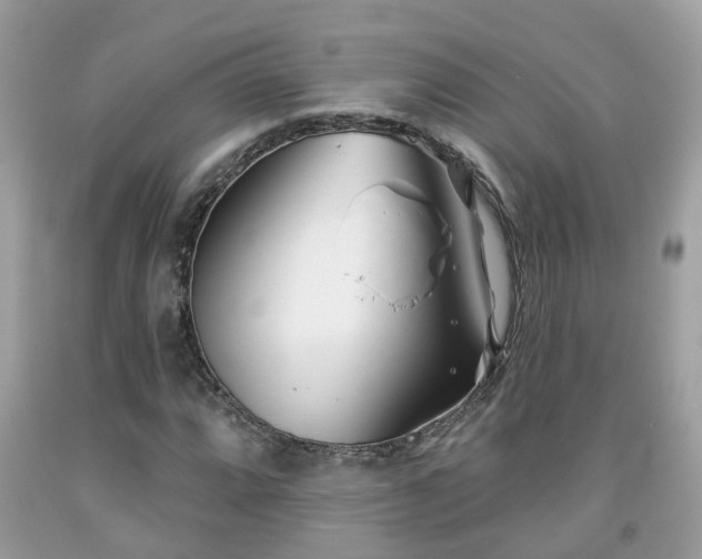 X0000091991064200709131449