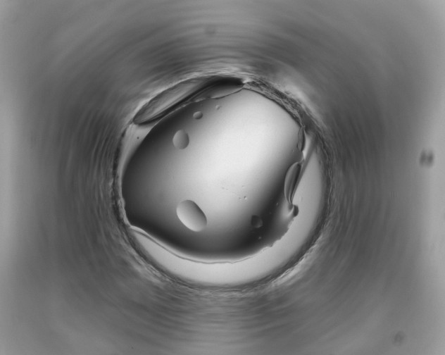 X0000091991065200709131449