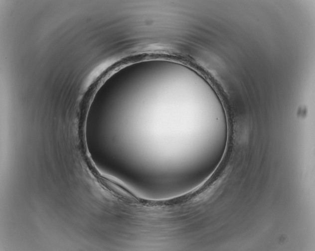X0000091991066200709131449