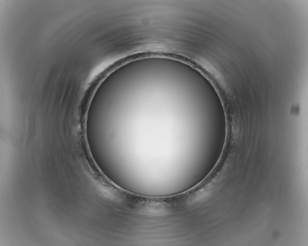 X0000091991070200709131449