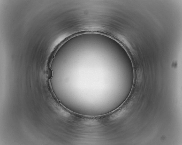 X0000091991071200709131449