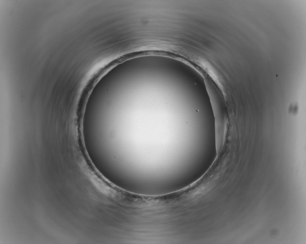 X0000091991072200709131449