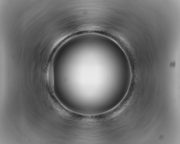 X0000091991073200709131449