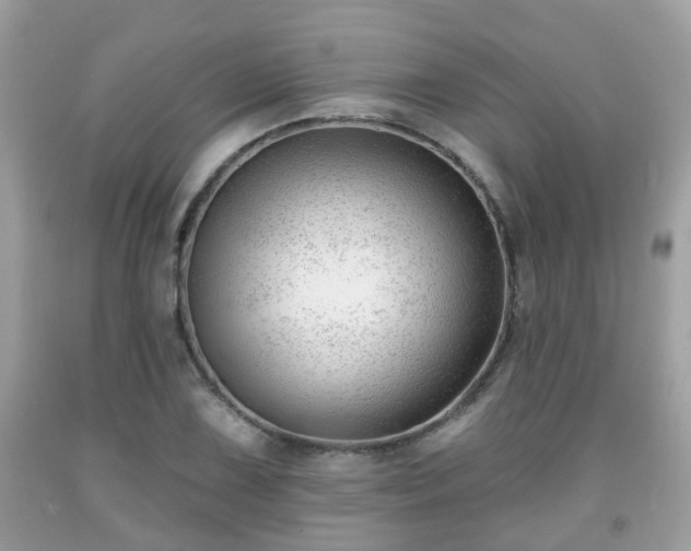 X0000091991075200709131449
