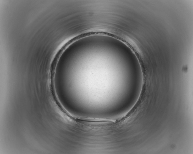 X0000091991076200709131449