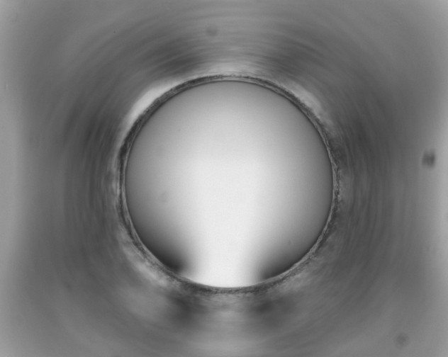 X0000091991078200709131449