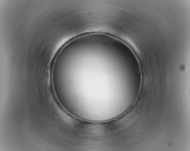 X0000091991079200709131449