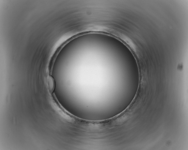 X0000091991080200709131449