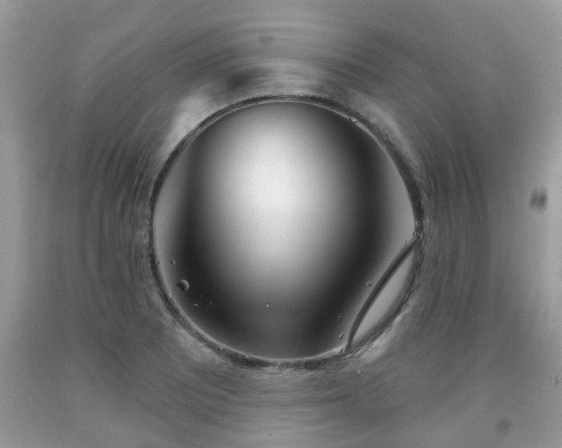 X0000091991081200709131449