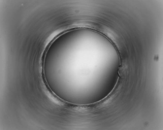 X0000091991082200709131449