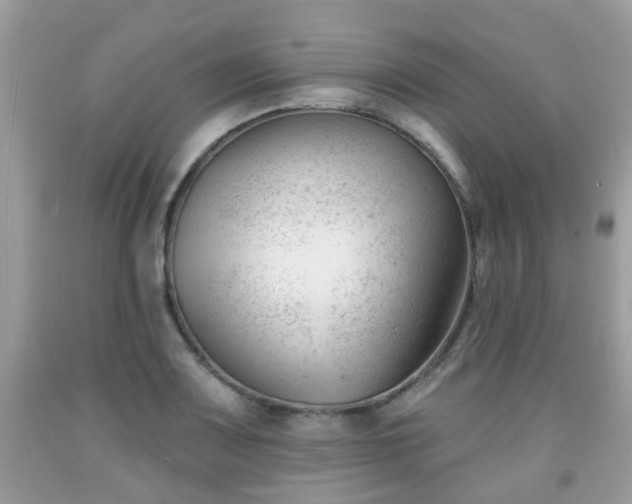 X0000091991083200709131449