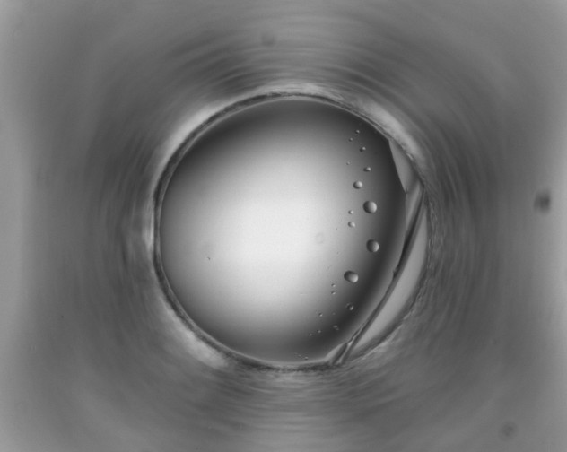 X0000091991084200709131449