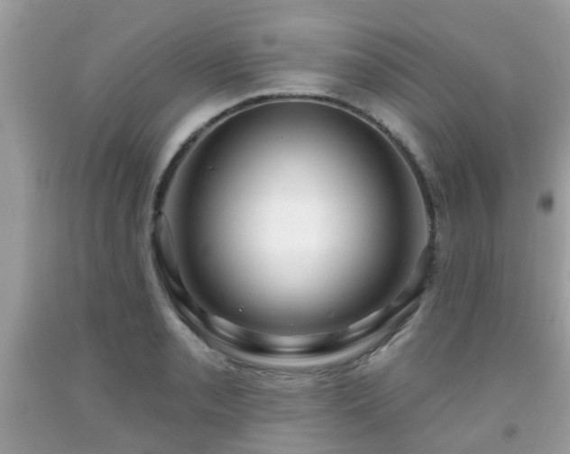X0000091991085200709131449