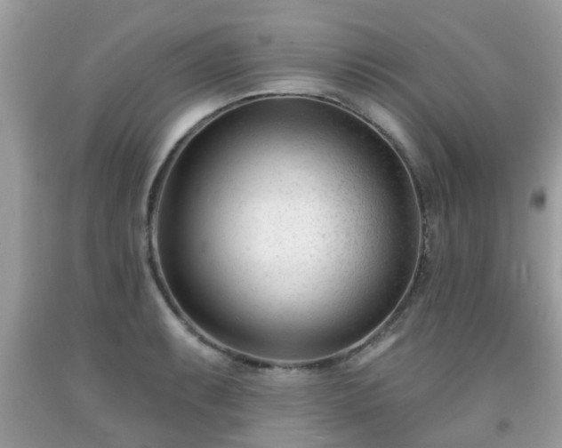 X0000091991087200709131449