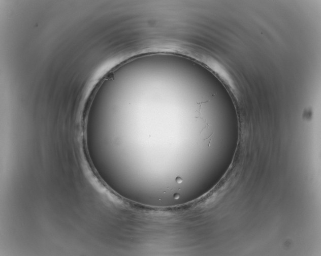 X0000091991088200709131449
