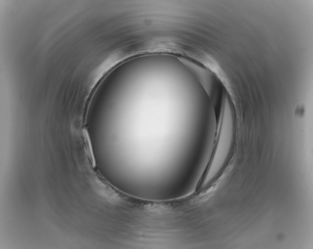 X0000091991089200709131449