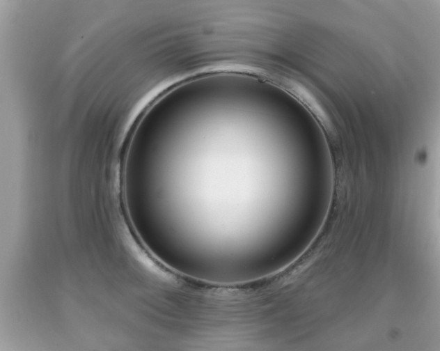 X0000091991092200709131449