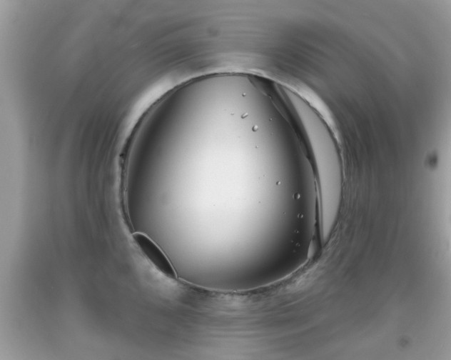 X0000091991096200709131449