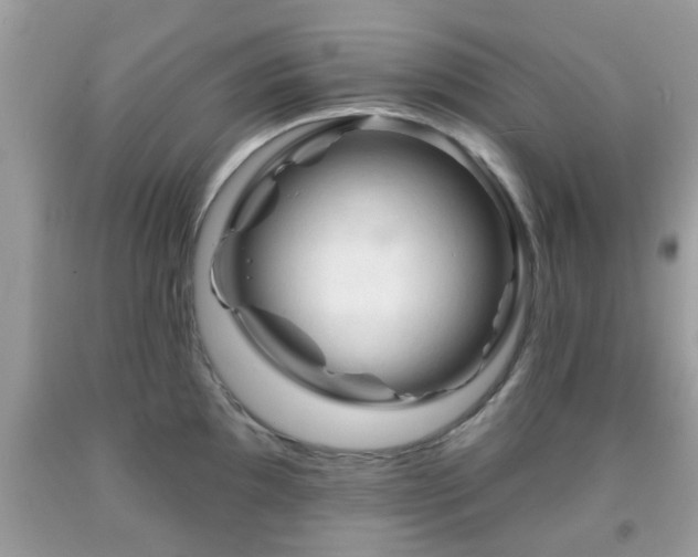 X0000091991097200709131449
