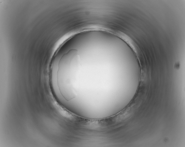 X0000091991098200709131449