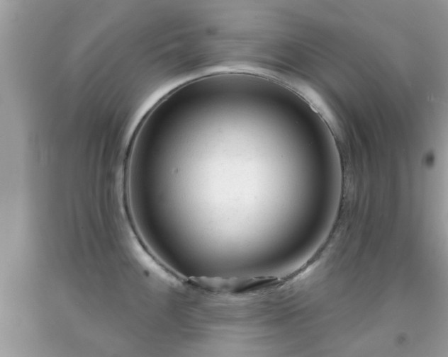 X0000091991100200709131449