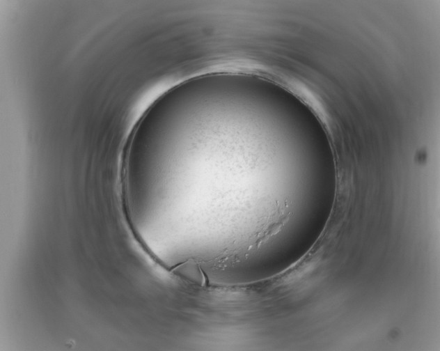 X0000091991103200709131449