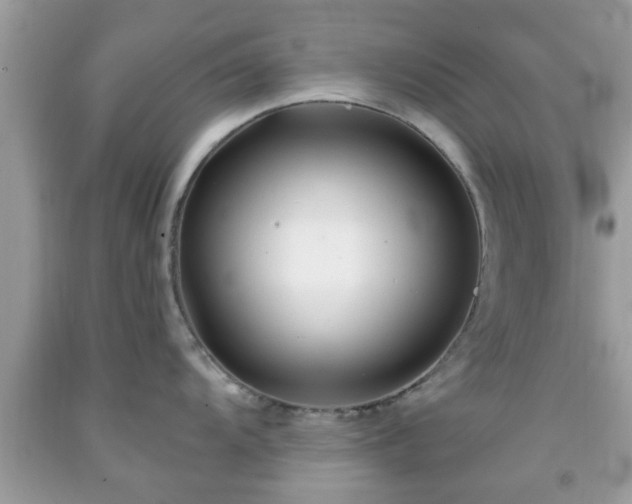 X0000091991104200709131449