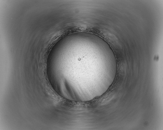 X0000091991105200709131448