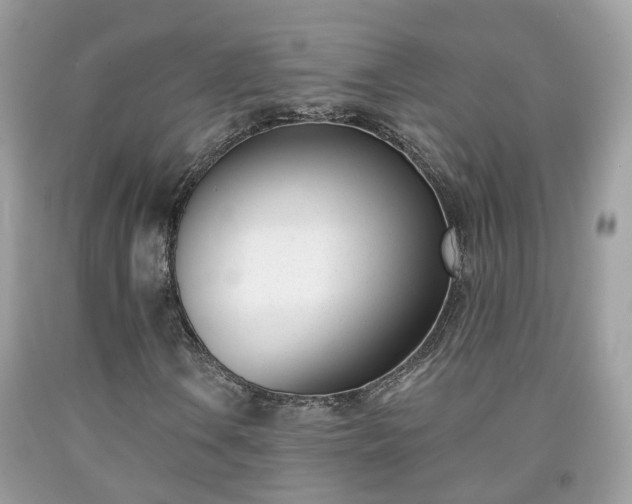 X0000091991106200709131448