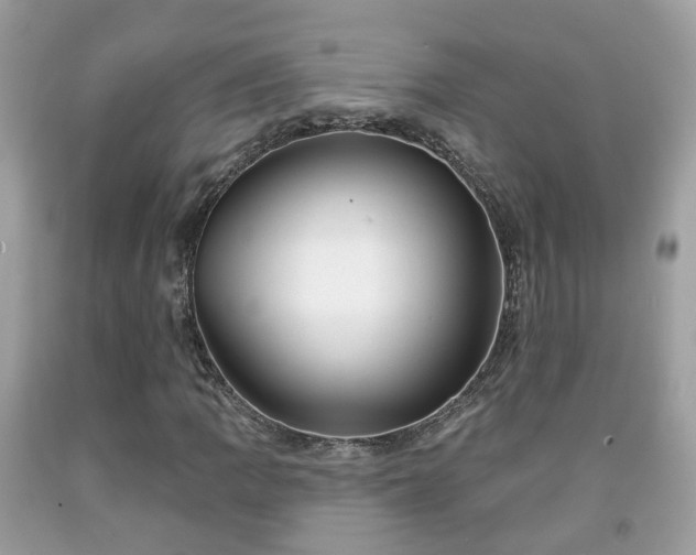 X0000091991109200709131448