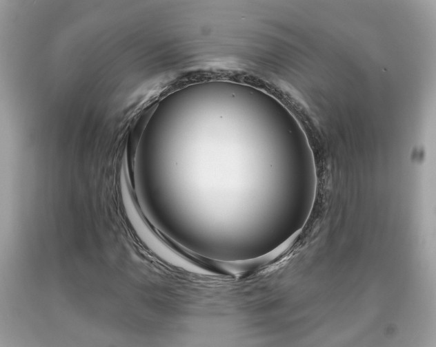 X0000091991110200709131448