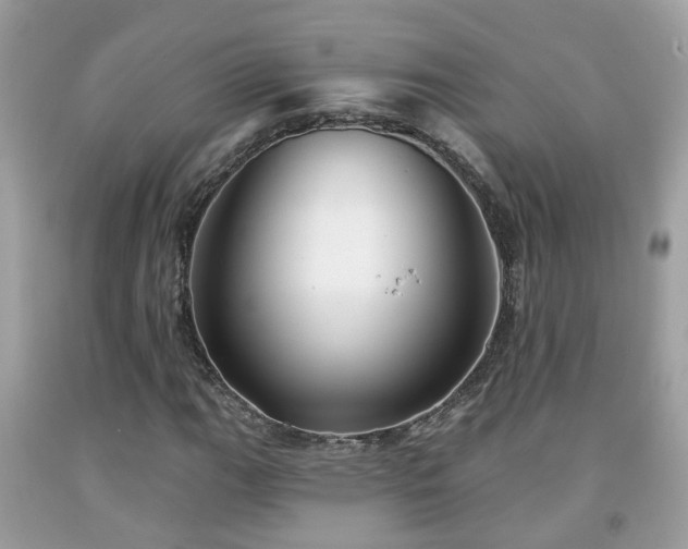 X0000091991111200709131448
