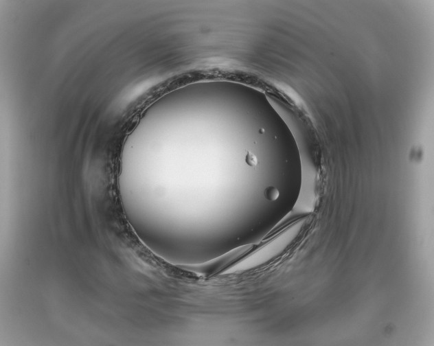 X0000091991112200709131448